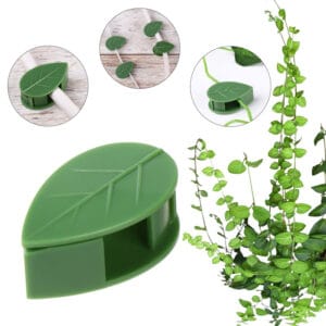 کلیپس نگهدارنده گیاه